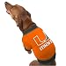 Miami Hurricanes Orange Collegiate Dog T-shirt