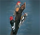Woodpecker Tree Ornament