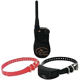 4197EhgZhUL. SL160  Sportdog Sport Hunter A Series 1 Trainer