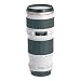 Electronics : Canon EF 70-200mm f/4L USM Telephoto Zoom Lens for Canon SLR Cameras