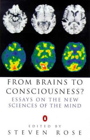 from brains to consciousness allen lane science