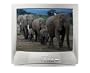 Sharp 19-C140 19" CRT TV Silver