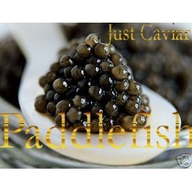 American Paddlefish Caviar - 1.00 oz. / 28.0 gr.