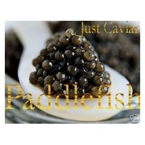 American Paddlefish Caviar - 35.20 oz. 1.0 kg. (Free Overnight Shipping!) by Black Lumpfish Caviar