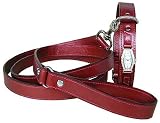 Celltei - Celebrity - Metallic Silver - Collar and Lead Set - Gold Colored Watch Decorated with Gemstones - Size: XS