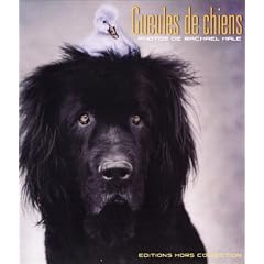 Gueules de chien