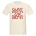 Gay Rights are Human Rights Gay Light T-Shirt by CafePress