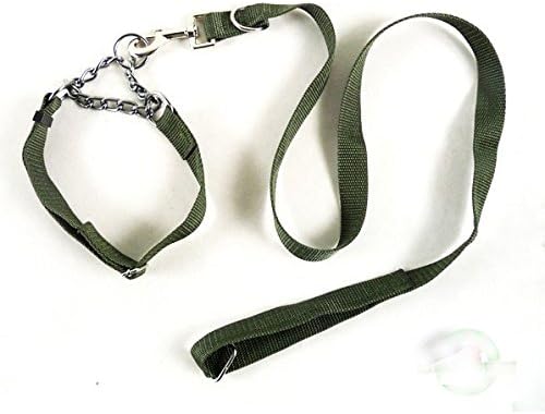 Polyamide Traction Collar ,Adjustable Dog Pet Slip Leash(Army Green)