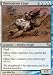 Thistledown Liege RARE #153 - Magic the Gathering Shadowmoor
