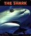The Shark: Silent Hunter (Animal Close-Ups)