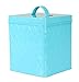 Home Basics CS47383 Large, Turquoise Tin Canister, One Size