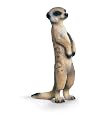 Schleich 5.7 cm Standing Meerkat Model