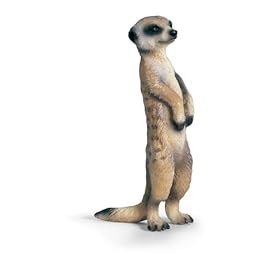 Schleich 14368 - Wild Life, Surico, in piedi