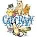Cat Crazy Adult T-Shirt