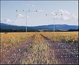 Beat the Featherflex Mojo with Lynch Fake Powerline Decoy System