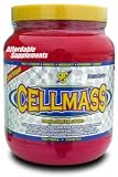 BSN CellMass