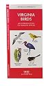 Virginia Birds