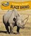 Book Black Rhino (Take-off!: Animals in Danger)