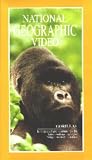 DVD cover: National Geographic Video - Gorillas [VHS]