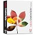 Creative Suites Premium upgrade from 1.1 to 1.3 (Win)