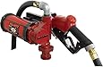 Fill-Rite FR3210B 12V DC Fuel Transfer Pump
