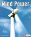 Wind Power (Fact Finders)