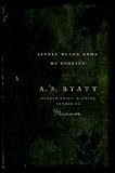 Little Black Book of Stories (Vintage International)