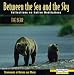 Between the Sea an the Sky: The Bear