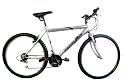 Reflex Parallax 22" Gents Mountain Bike Silver