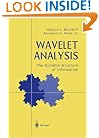 Wavelet Analysis: The Scalable Structure of Information