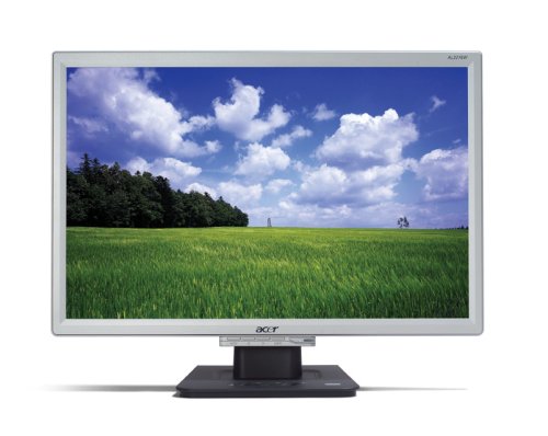 Acer 22�C���` ���C�h�t���f�B�X�v���C �V���o�[ AL2216Wsd