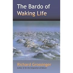 The Bardo of Waking Life