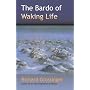 The Bardo of Waking Life