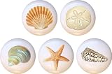 Beautiful Seashells Drawer Pulls Knobs Set of 5