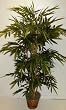 66" Deluxe Bamboo Palm on "Real Wood"