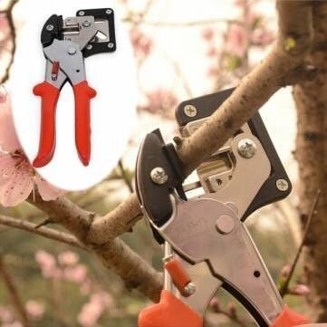 Seedlings Engraft Grafting Garden Tools Nursery Fruit Trees Grafting by Richmanshop