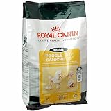 Royal Canin Mini Breed Poodle (30) (10-lb bag)