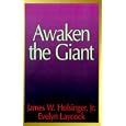 Awaken the Giant: Two Lay Leaders Speak Out: 28 Prescriptions for Reviving the United Methodist Church