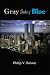 Book Gray Shades of Blue