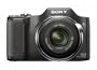 Sony Cyber-shot DSC-H20/B 10.1 MP Digital Camera with 10x Optical Zoom and Super Steady Shot Image Stabilization
