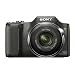 Sony Cyber-shot DSC-H20/B 10.1 MP Digital Camera with 10x Optical Zoom and Super Steady Shot Image Stabilization