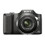 Sony Cyber-shot DSC-H20/B 10.1 MP Digital Camera with 10x Optical Zoom and Super Steady Shot Image Stabilization