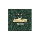 Auburn Univ Auburn Hooplet Hooplet -14K/10K, Stainless Steel or Gold Plated