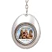 Praktica ViewPix Miniature Digital Photo Frame