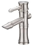 Danze D225545BN South Sea Single Handle Lavatory Faucet, Brushed Nickel