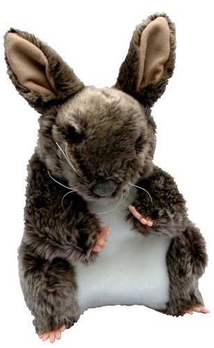 Childrens Toyshop  Toys : Rabbit Glove Puppet