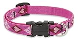LupinePet 1/2-Inch Puppy Love 10-16-Inch Adjustable Dog Collar for Small Dogs