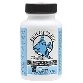 Fish Cycline (Tetracycline 250 mg) - 100 Caps
