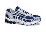 Nike Air Zoom Vomero +2 / 315933-441 - 