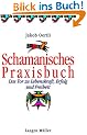 Schamanisches Praxisbuch. Das Tor zu Lebenskraft, Erfolg und Freiheit